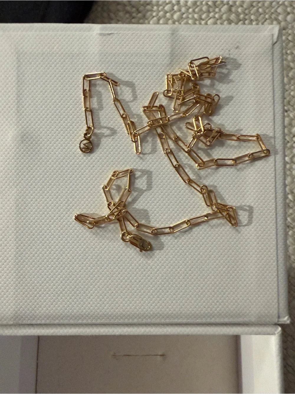 10k Mejuri Gold Paperclip Link Necklace